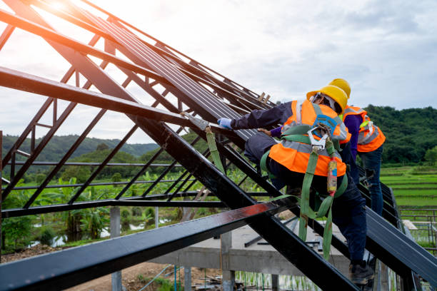 Best Roof Gutter Cleaning  in Melissa, TX